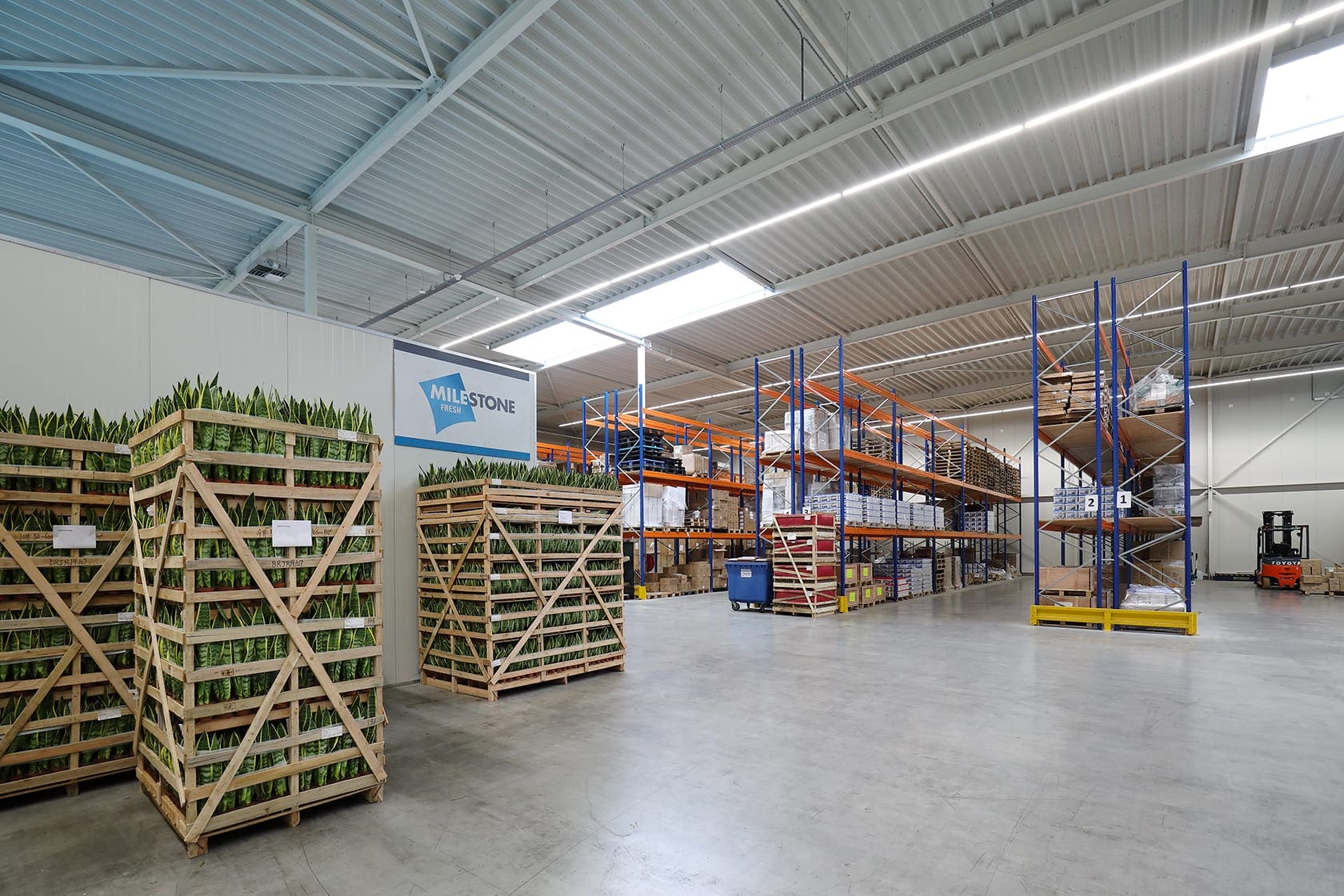 Bedrijfshal distributiecentrum Schiphol Logistic park